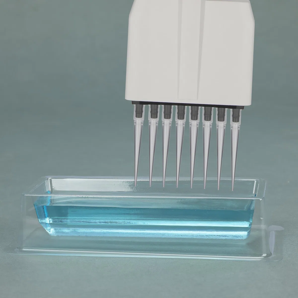 stonylab Serbatoi Reagenti, Confezione da 20 Contenitori in Plastica Monouso per Aspirazione di Liquidi, Utilizzabili con Controller per Pipette e Punte